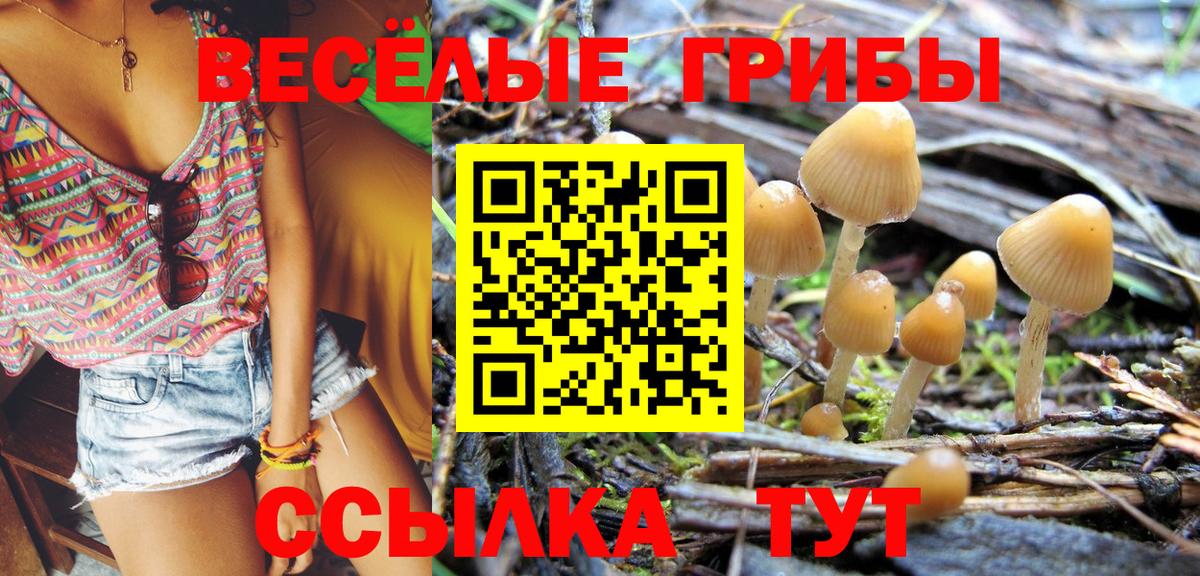 Галлюциногенные грибы Cubensis  Галлюциногенные грибы мухоморы  Вход с VPN  Миасс 